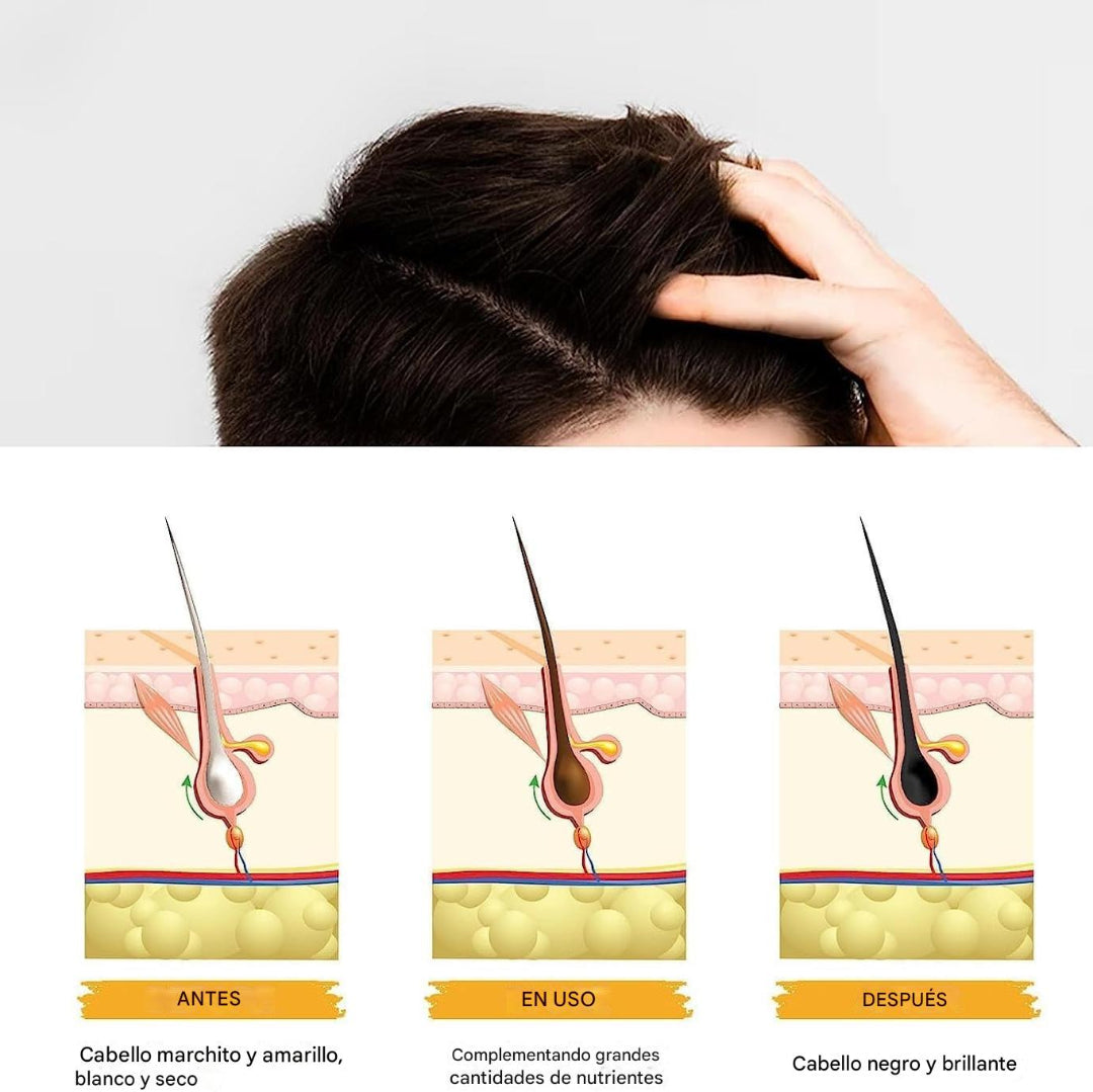 Jabón Cubre Canas Natural y Sin Tinte
